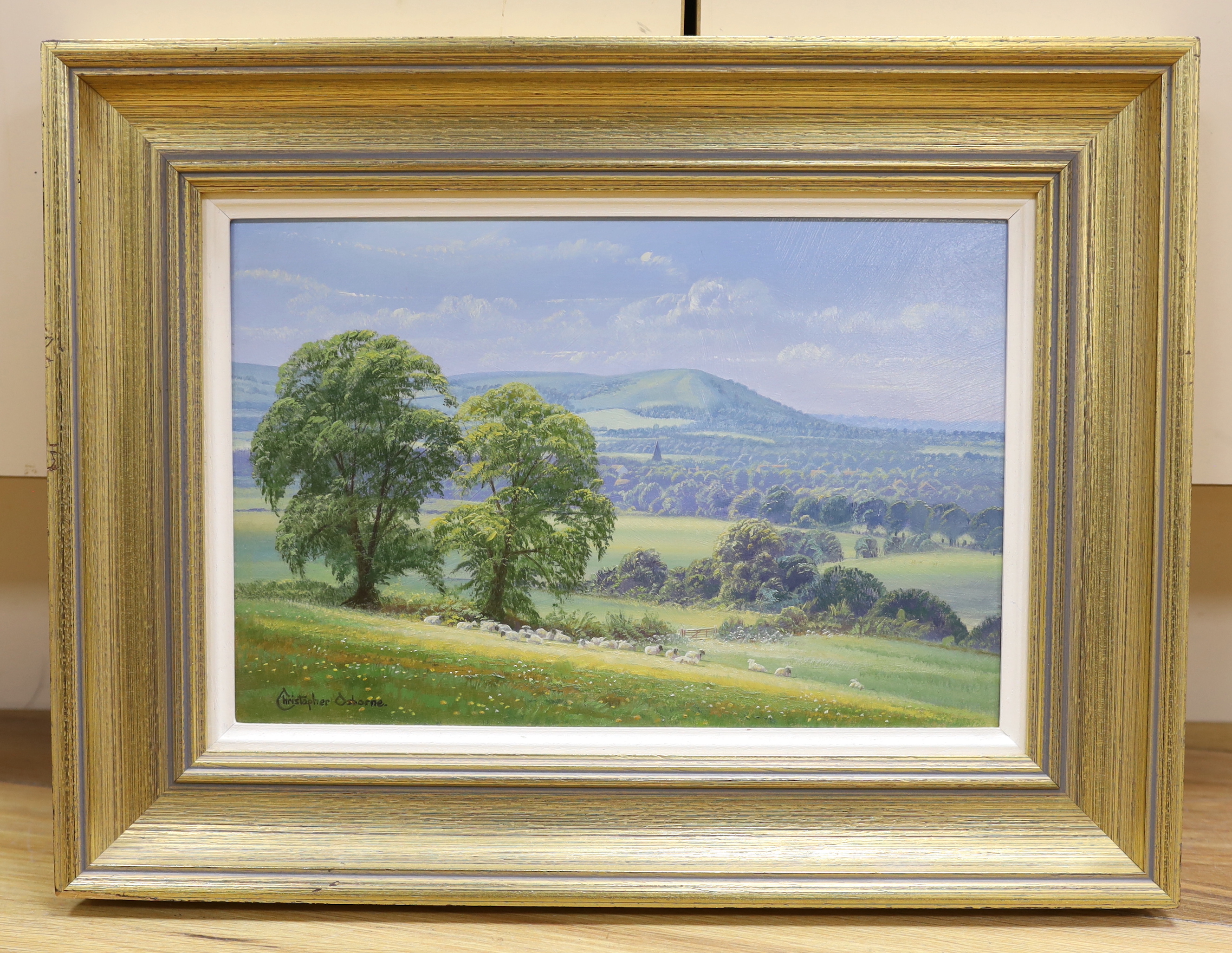 Christopher Osborne (b.1947), oil on board, 'Towards Wolstonbury Hill near Ditchling', signed, details verso, 19 x 29cm